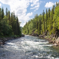 freshwater