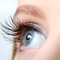 eyes