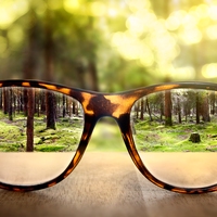 sight