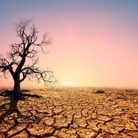 climate