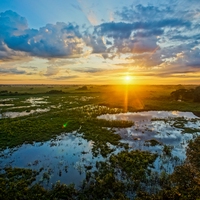 environment