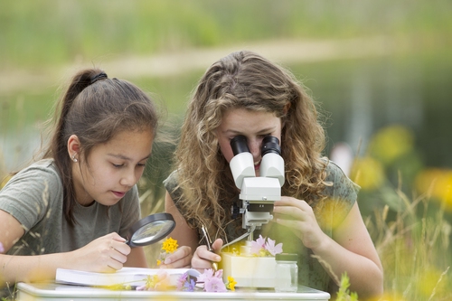 What are you doing to plug the gaps in science?